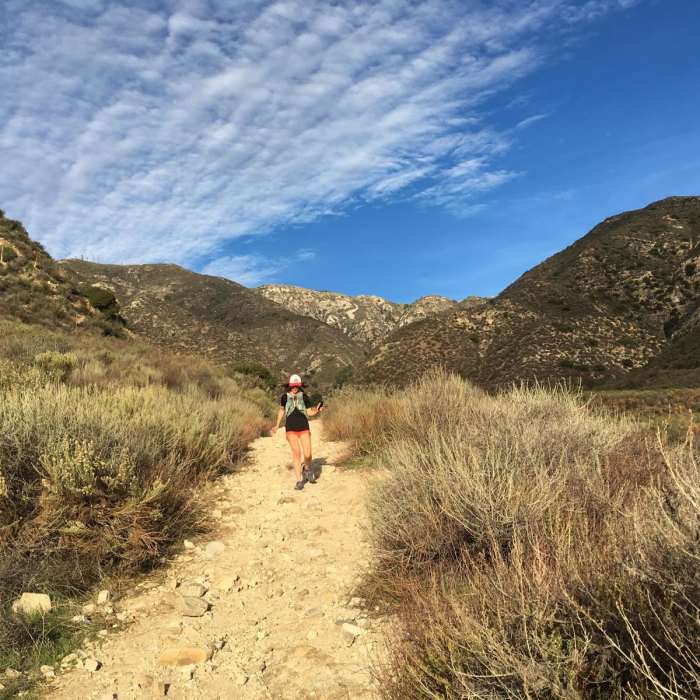 Near Dunsmore Canyon / Le Mesnager Loop