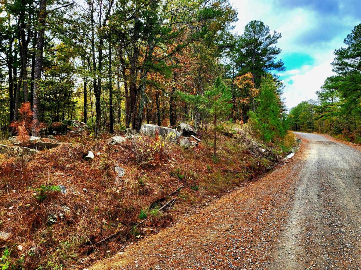 Cedar Creek Trail photo 5