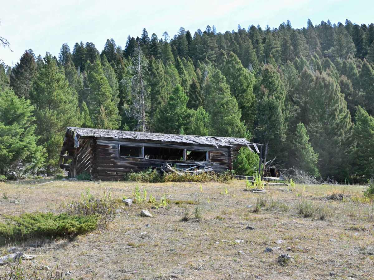 Blackfoot Mine Loop photo 2