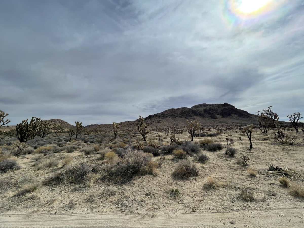 Ivanpah Valley High Voltage Line photo 4