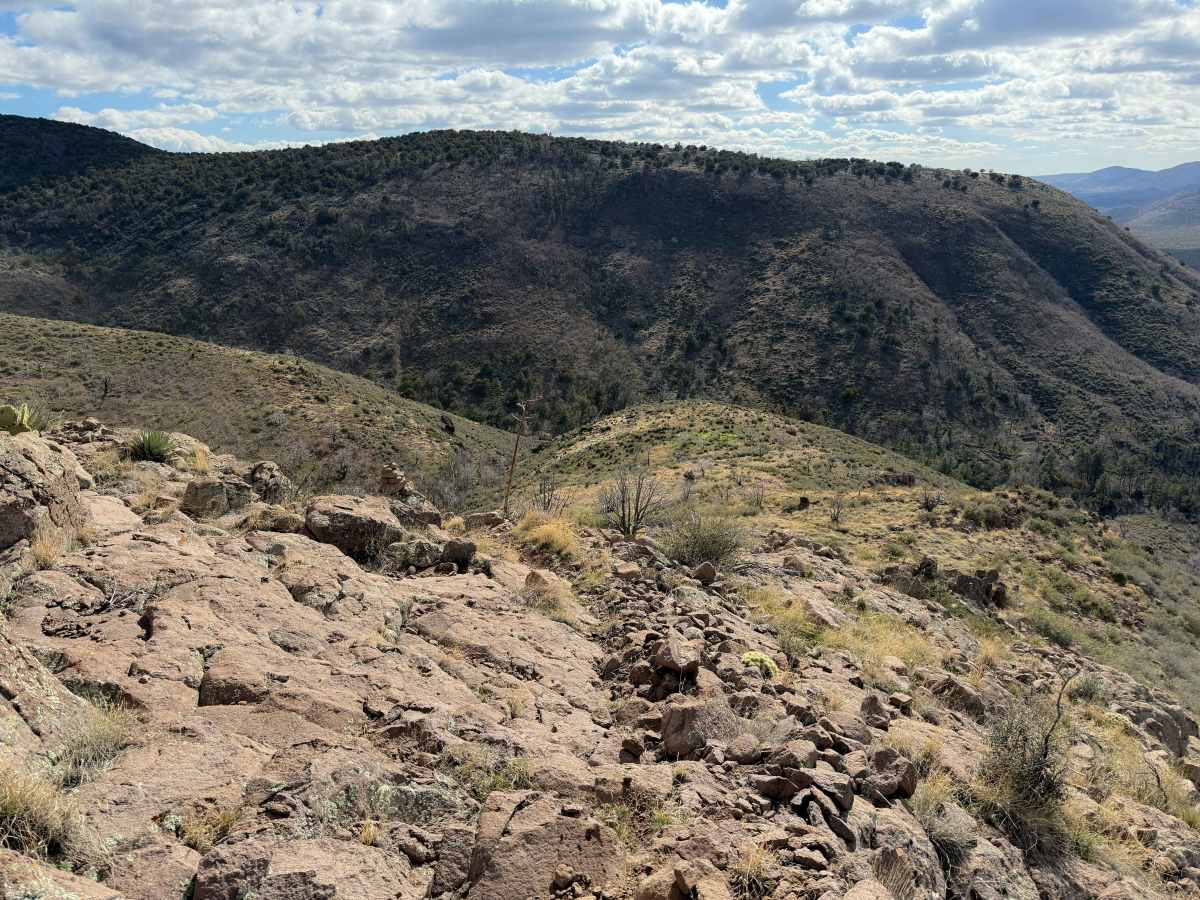 Cottonwood Trail #8 (Singletrack) trail photo