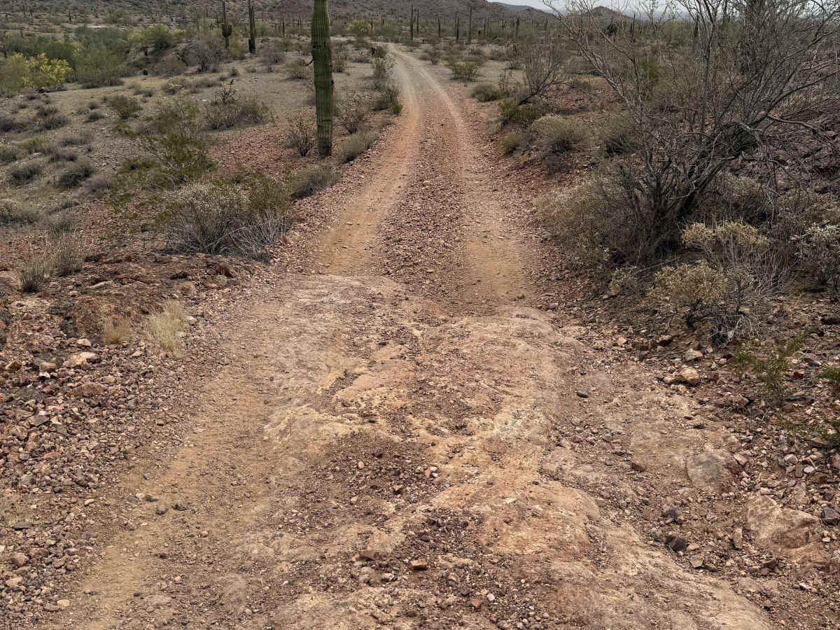 Abandoned Mine Trail - 24010 photo 3