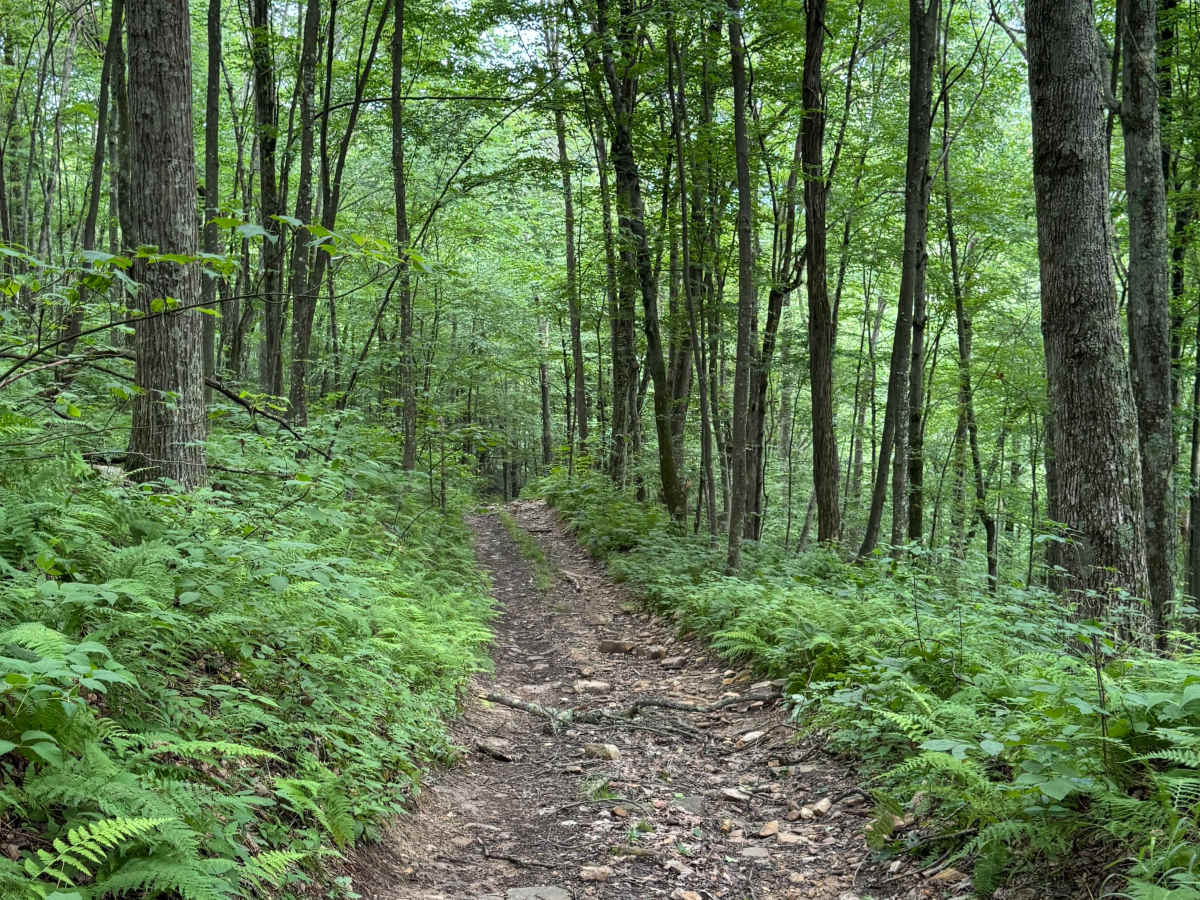 Trail 32 photo 4