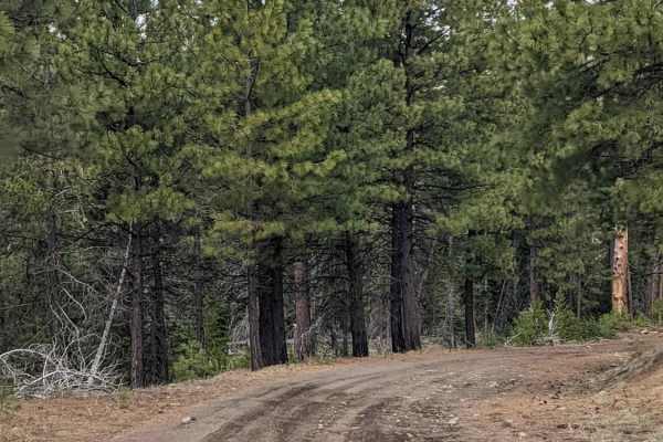 Lower Cross District Trail