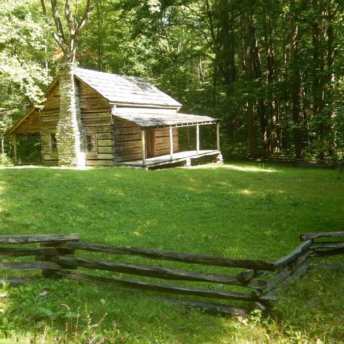 Near Little Cataloochee Trail