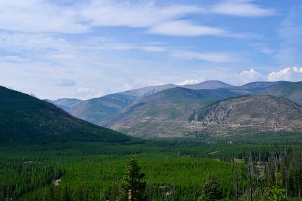 Indian Meadows