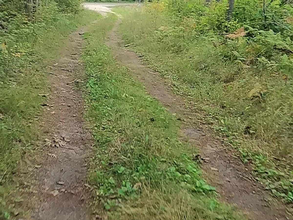Old Stage Truck Road trail photo
