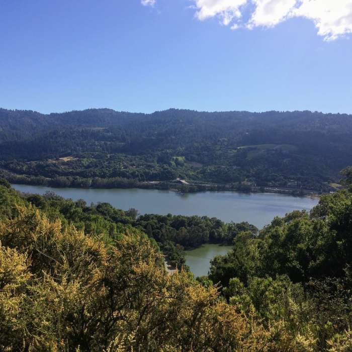 Near Priest Rock Trail