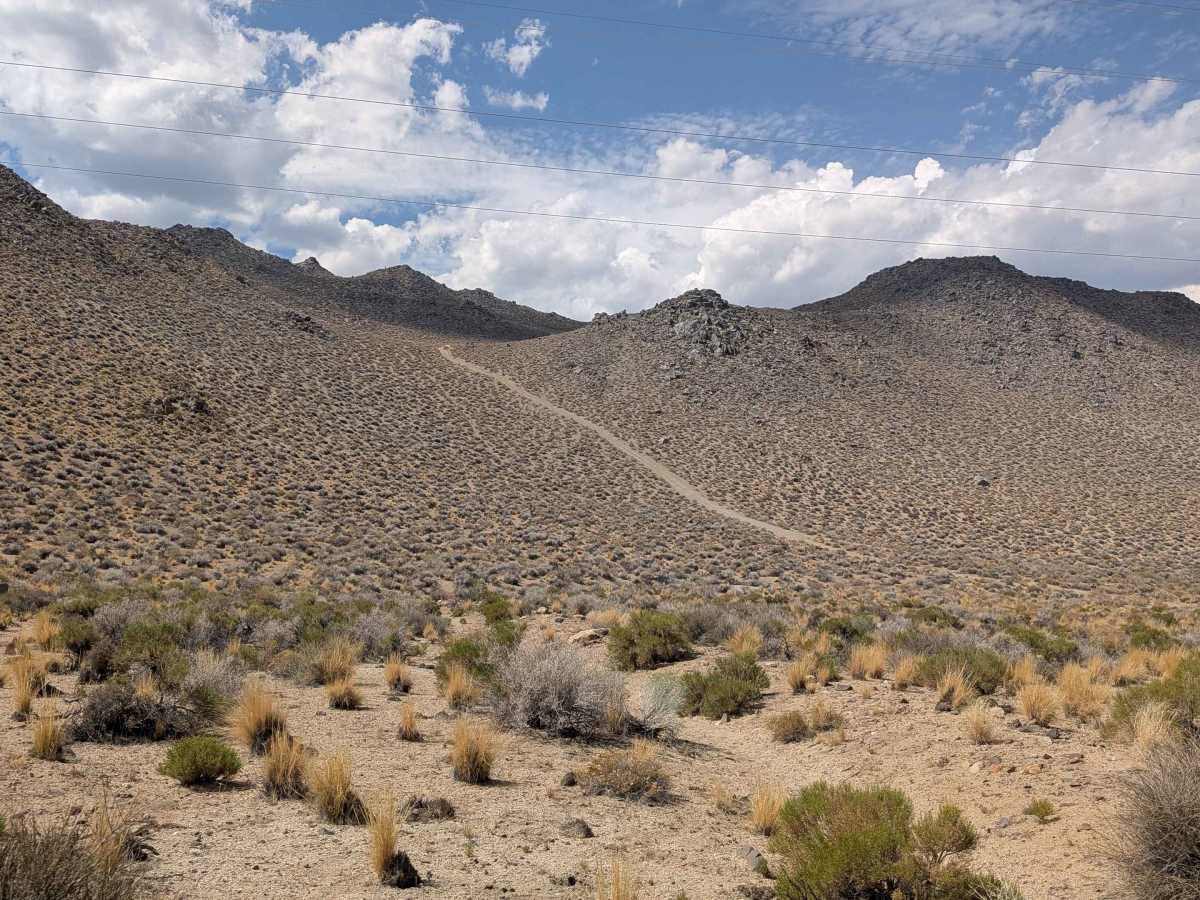 Tungsten Hills Cutoff photo 3