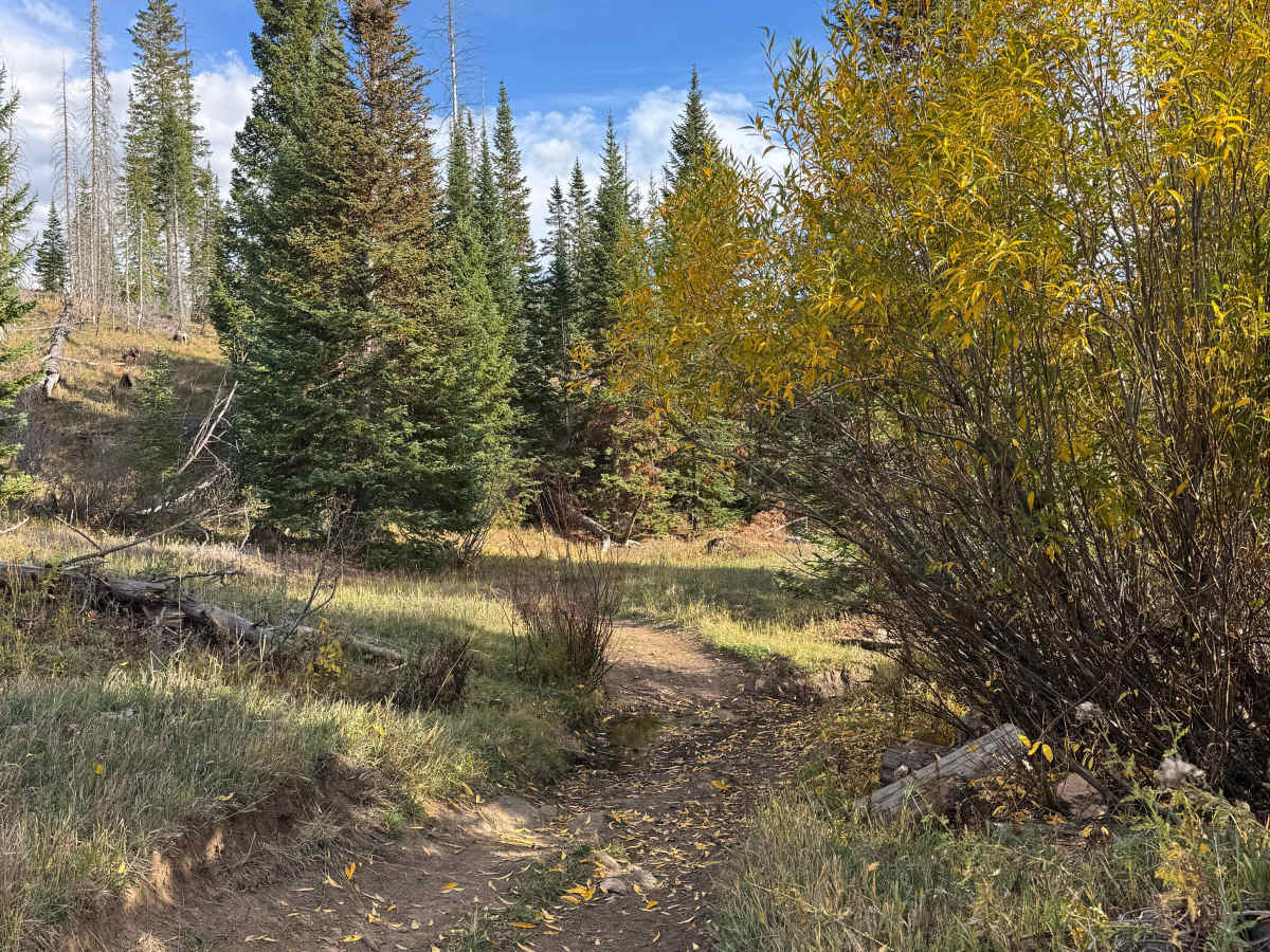 Manzanares Connector Trail photo 2
