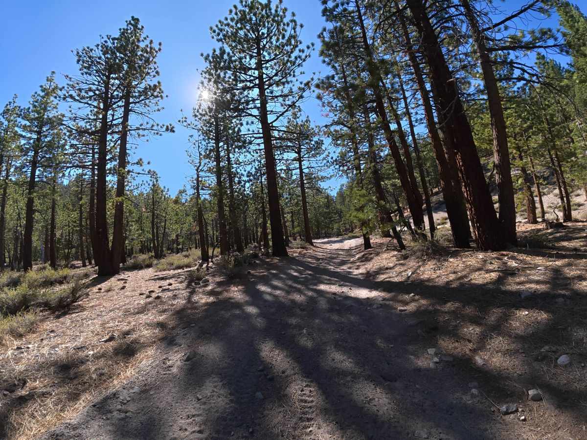 FS 3S26K trail photo