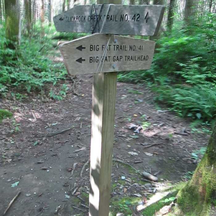 Near Nichols Cove Trail #44