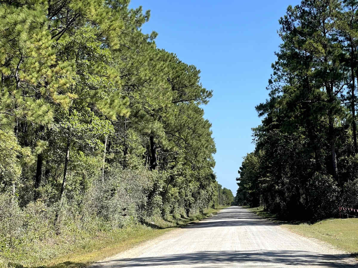 Juniper Road photo 4