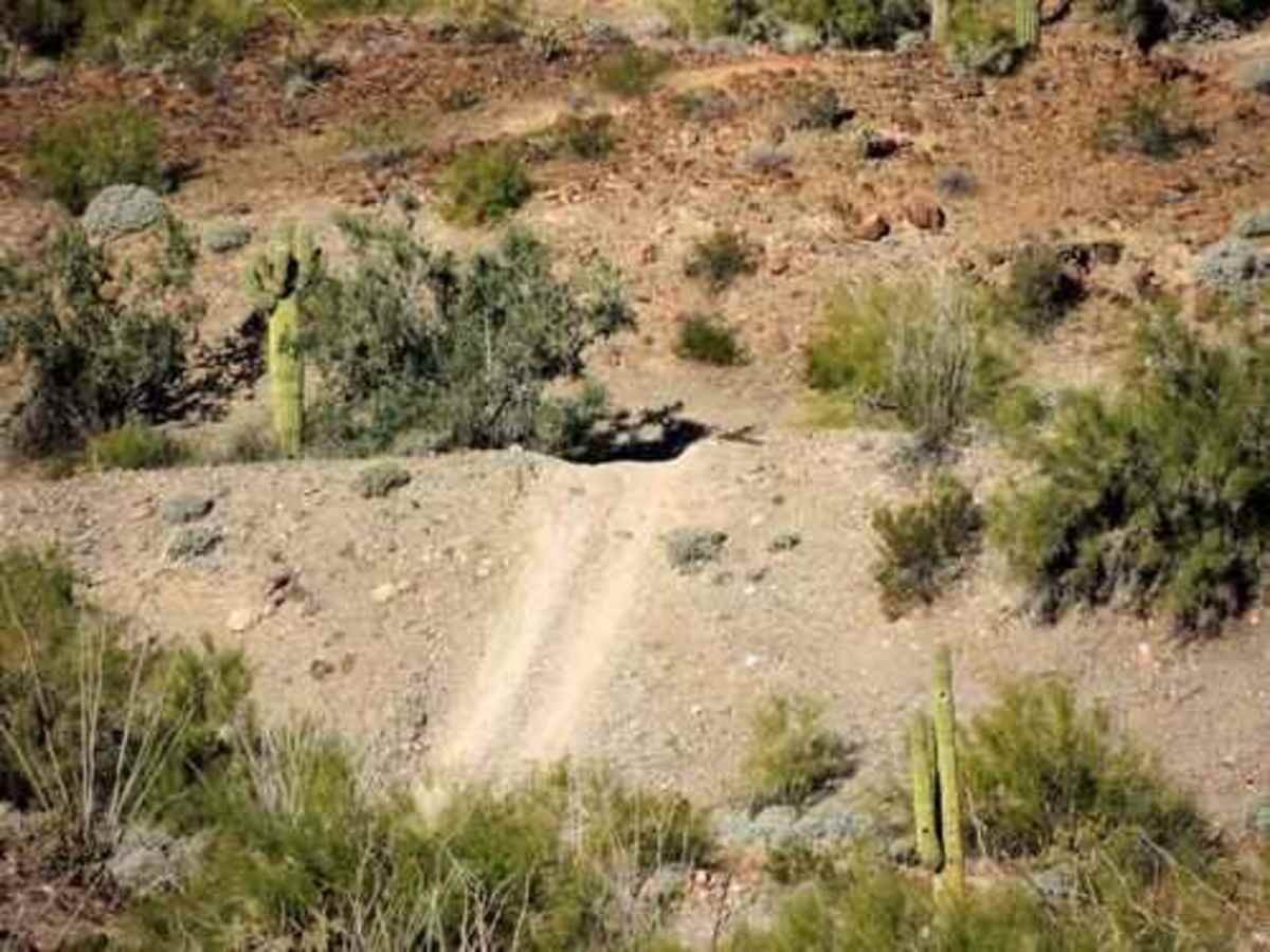 Pack 4WD photo 2