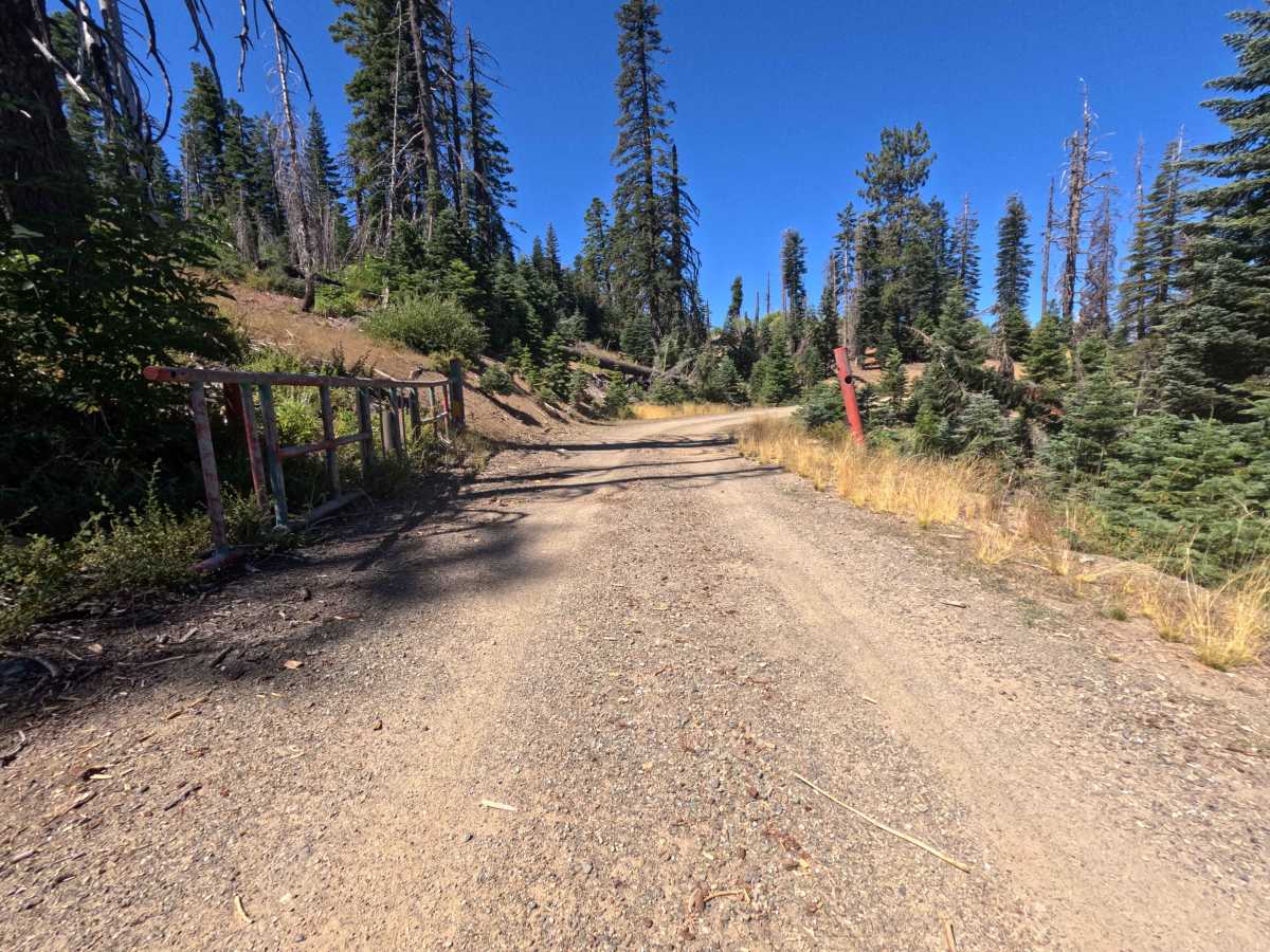 Espee Ridge - FS 23N39 trail photo