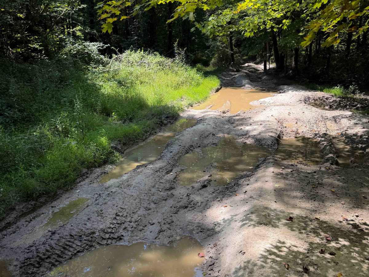 Bull Creek Settlement 17   photo 5