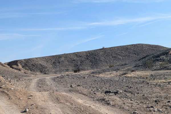 BLM 236