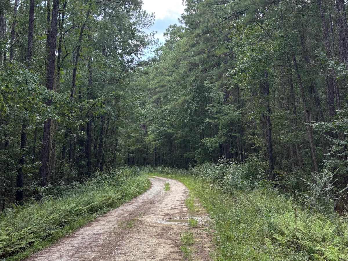 Litchfield Trail  photo 5
