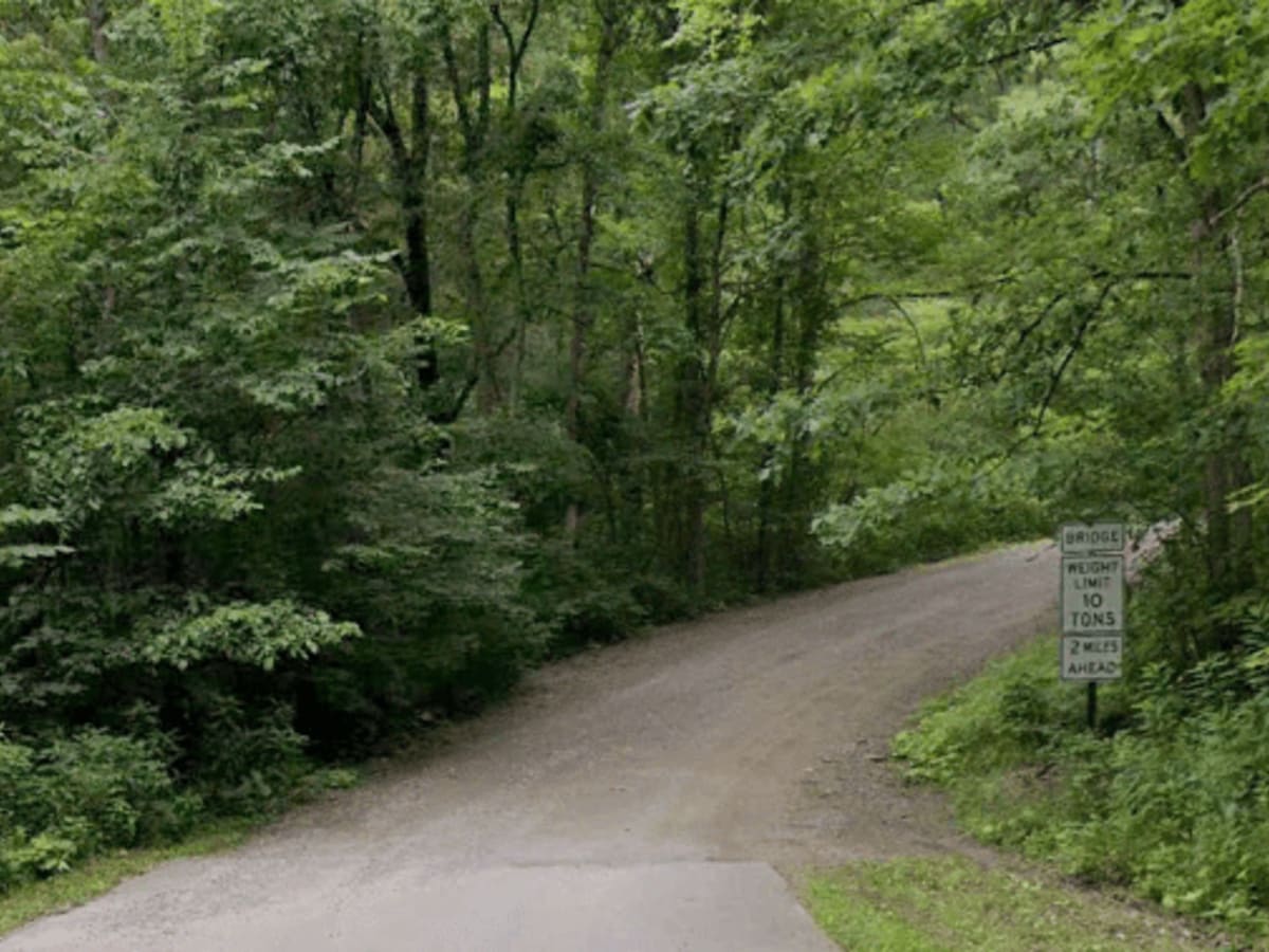 Nichol Road photo 2