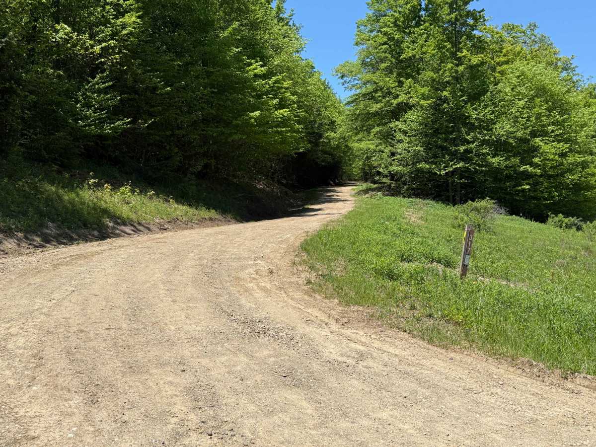 Pennzoil - FS 317 trail photo