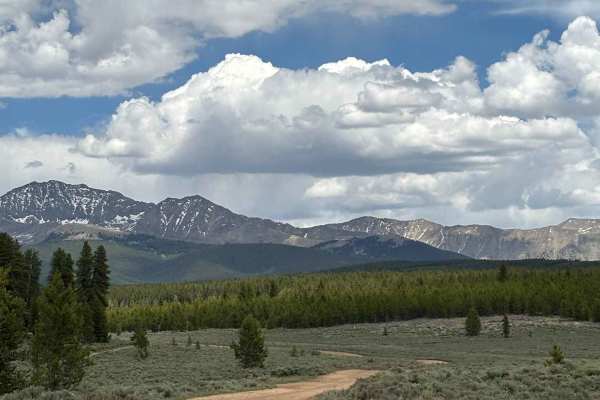 Upper Bull Road