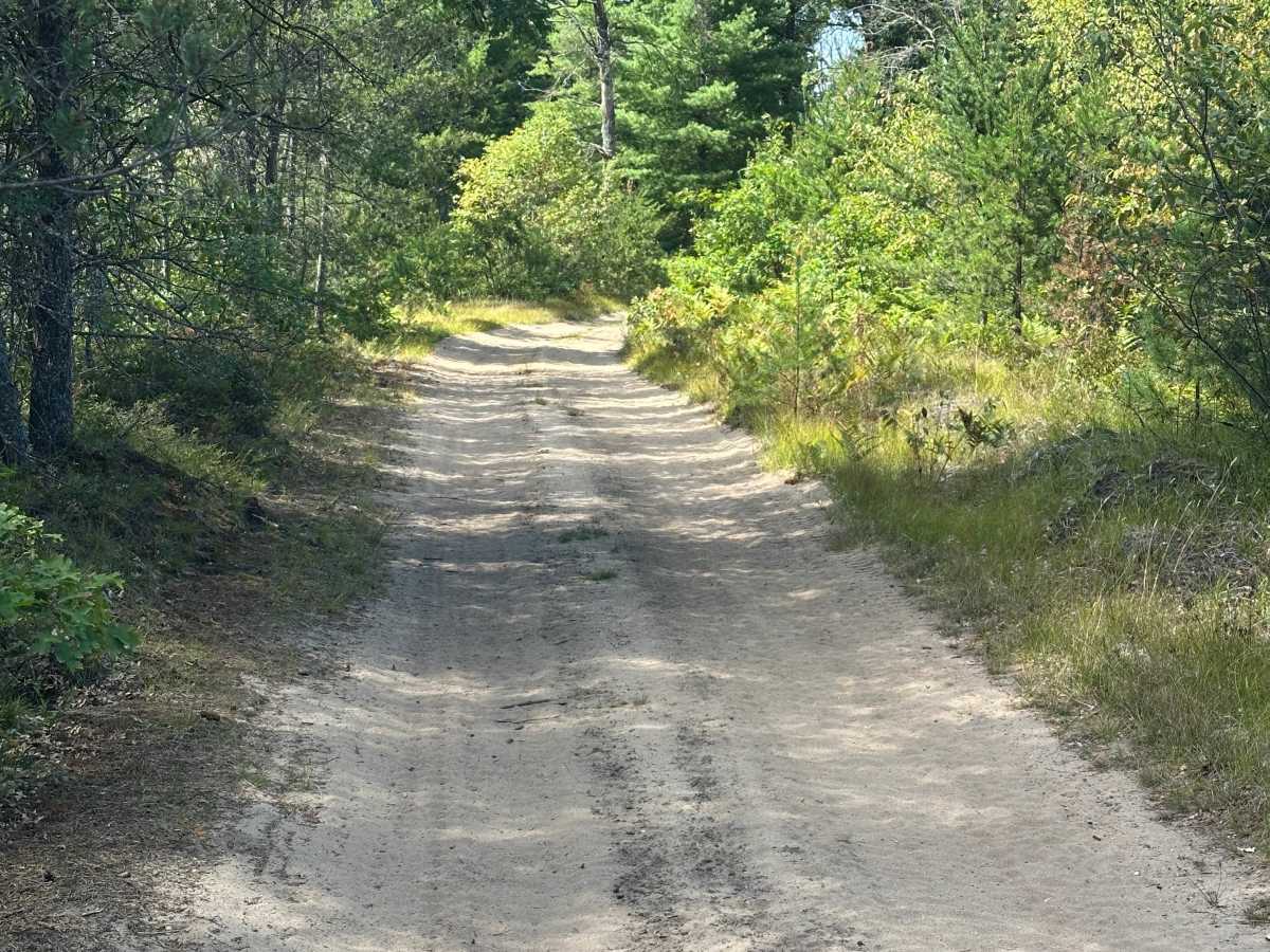 Muskrat Trail photo 5