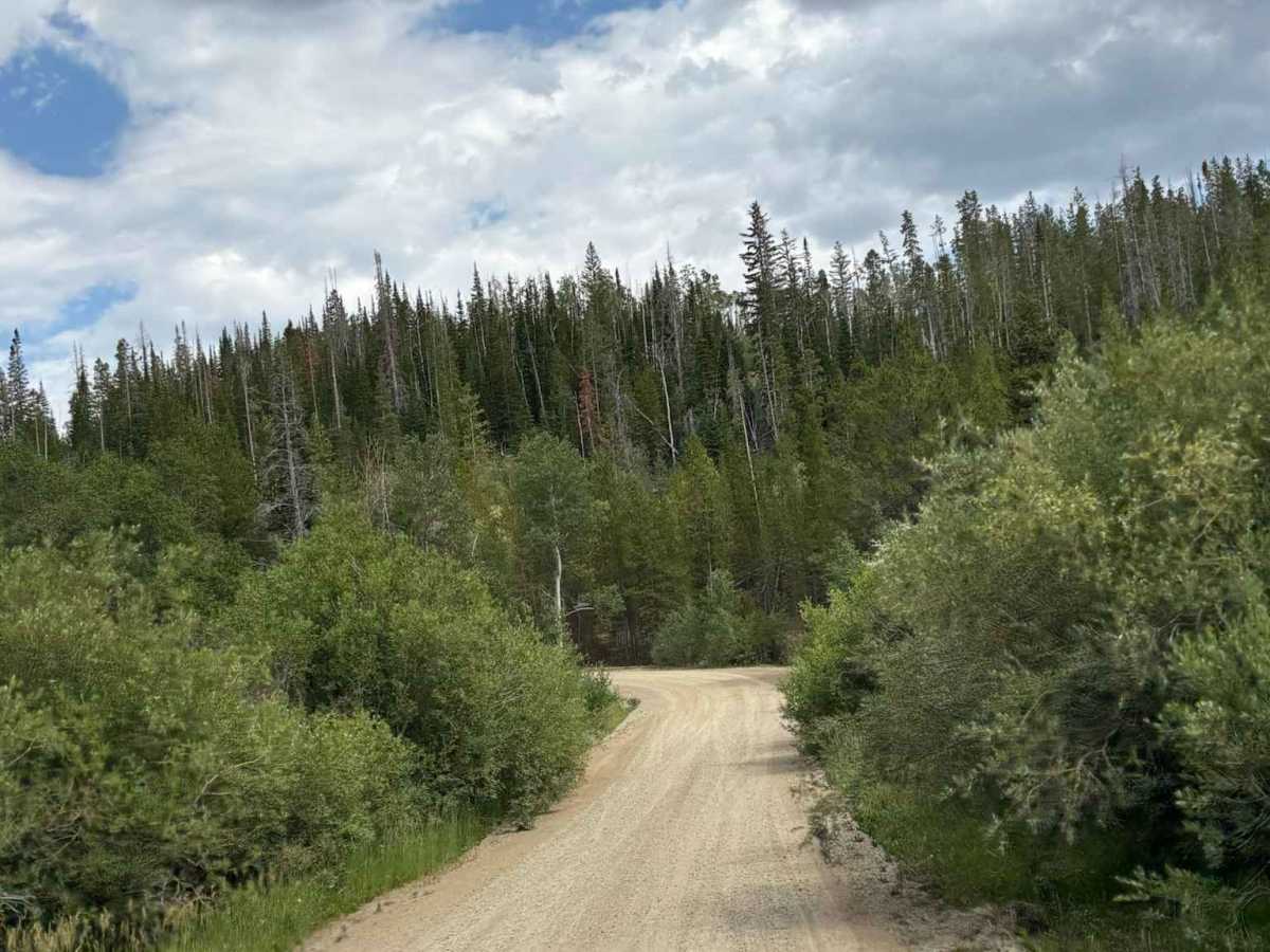 Willow Creek Road photo 2