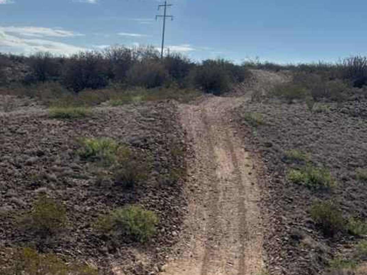 BLM SS1038 photo 5