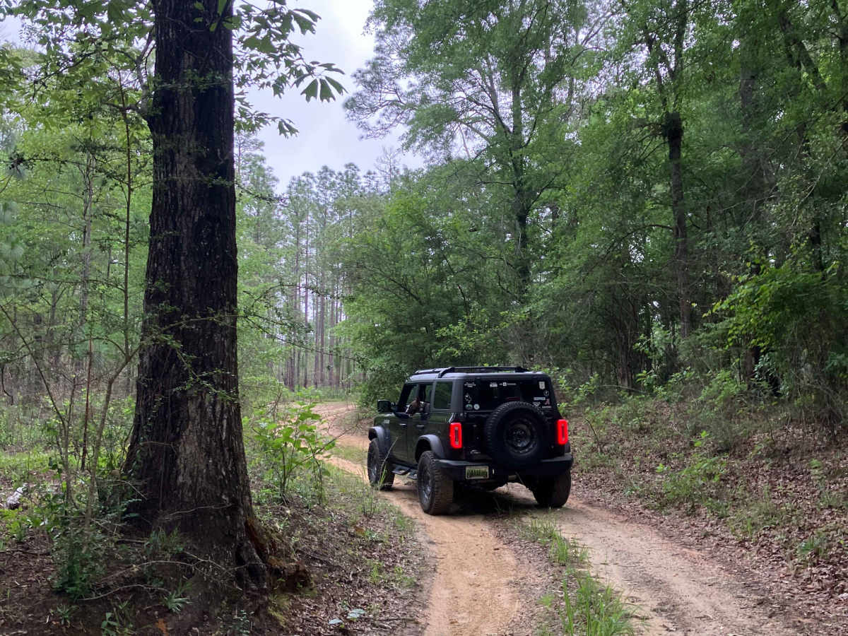 S109 trail photo