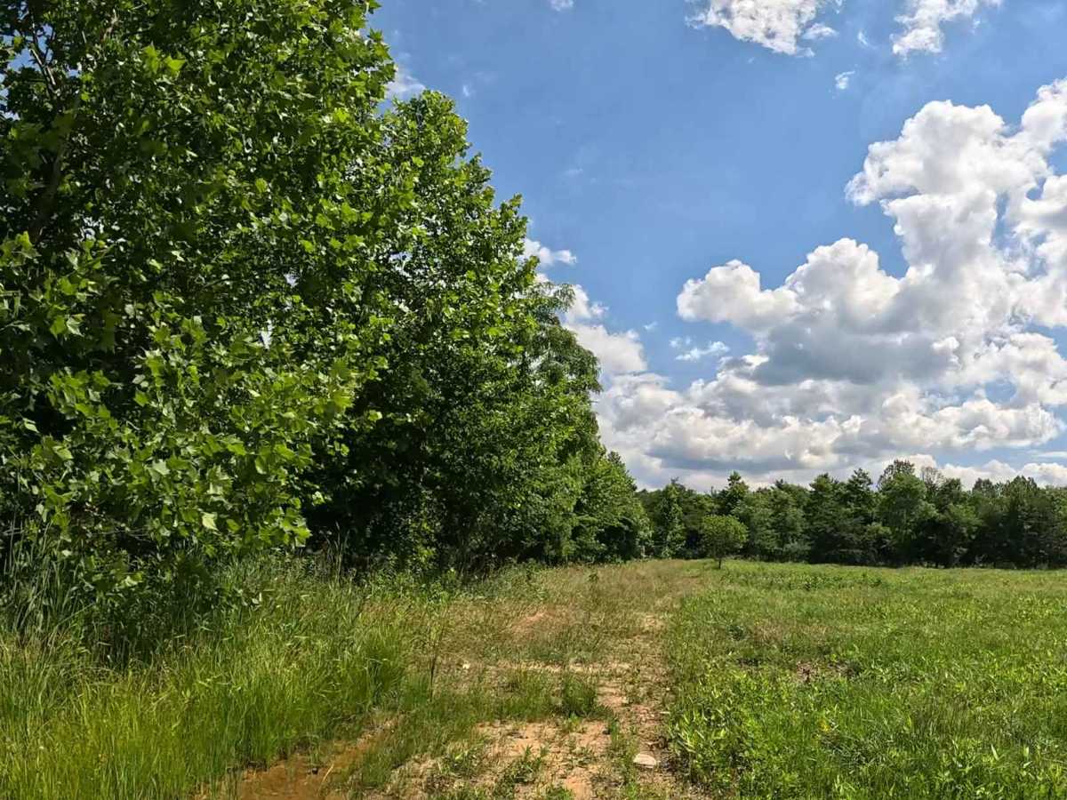 Q11A trail photo