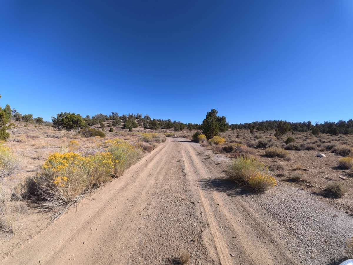 Carma Loop photo 2