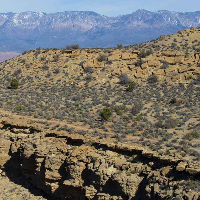 Near More Cowbell Loop