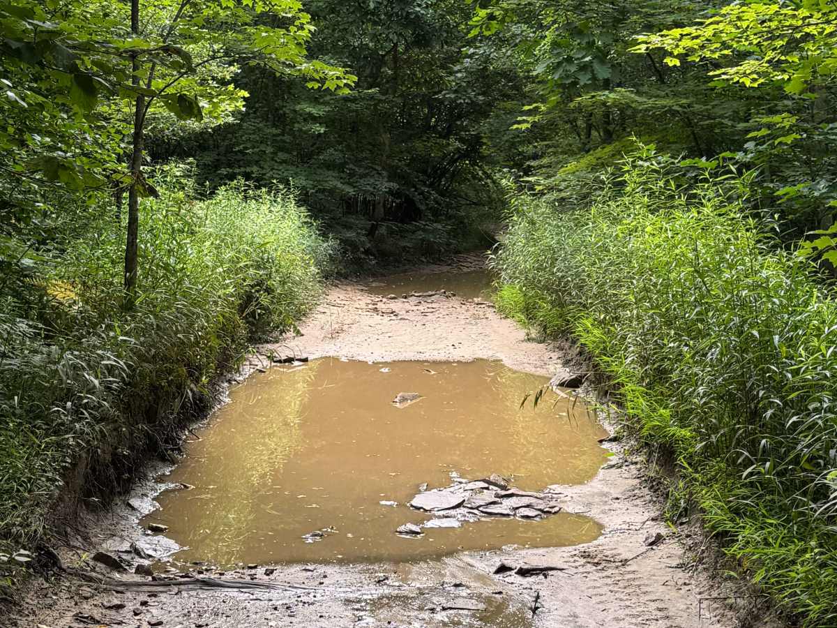 Trail 20 photo 5