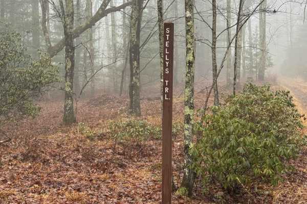Stellys Trail