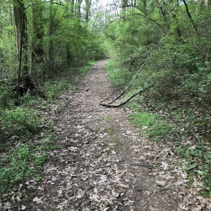 Near Joe Wheeler State Park Multi-Use Trail
