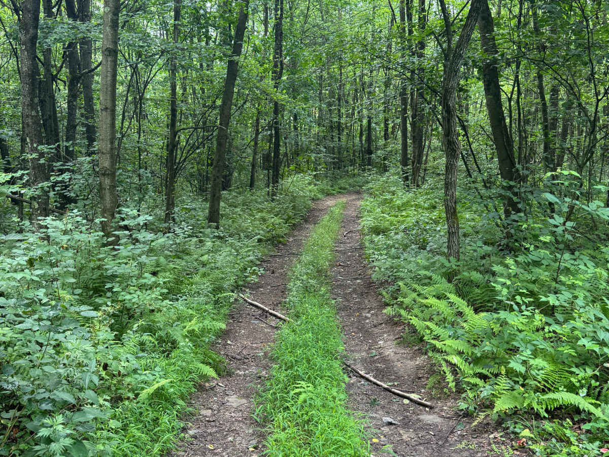 Trail 69 photo 2