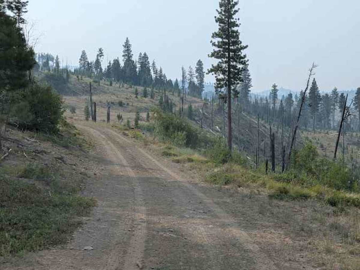 High Creek Road trail photo