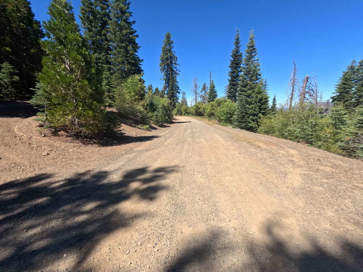 Espee Ridge - FS 23N39 photo 4