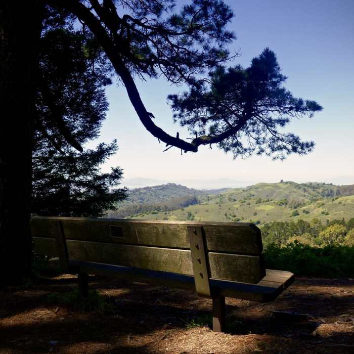 Near Seaview Trail to Inspiration Point