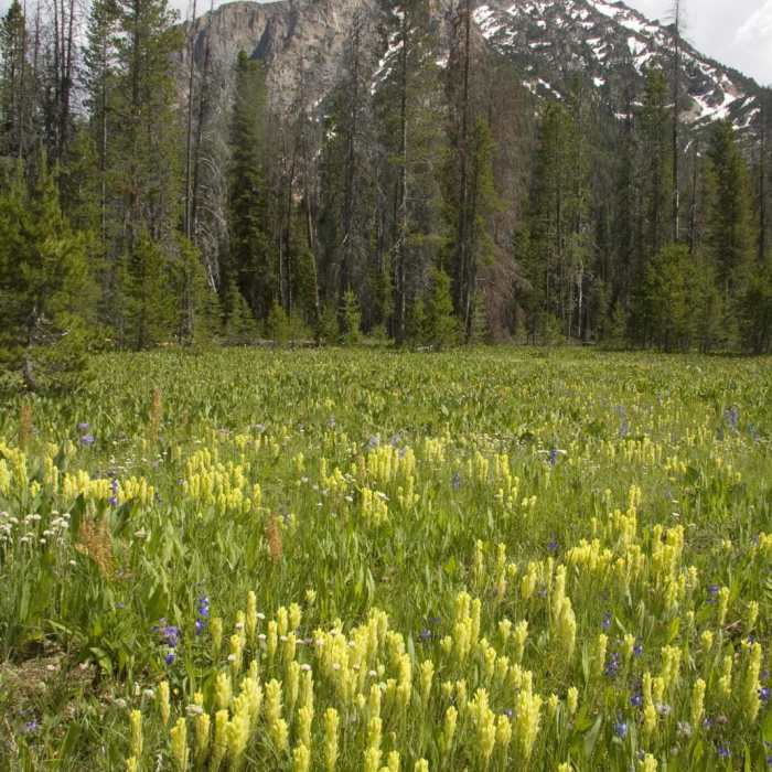 Near Stanley Lake Creek to Hansen Lakes