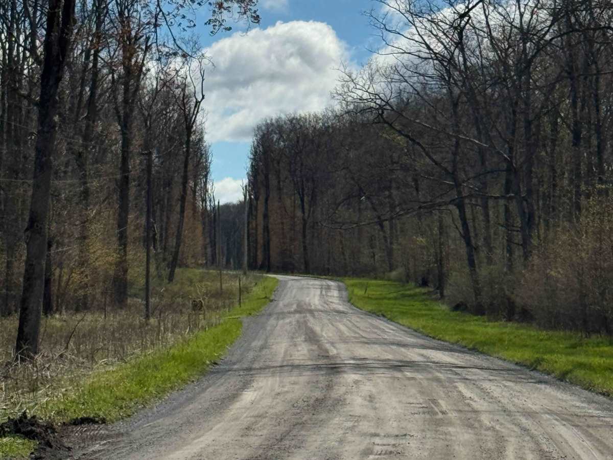 Four Mile Road photo 3