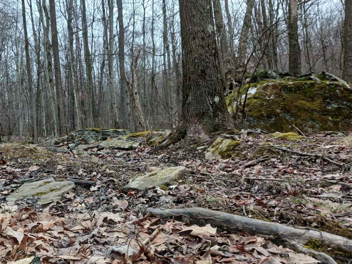 OHV 51 - Rock Run Recreation Area photo 2