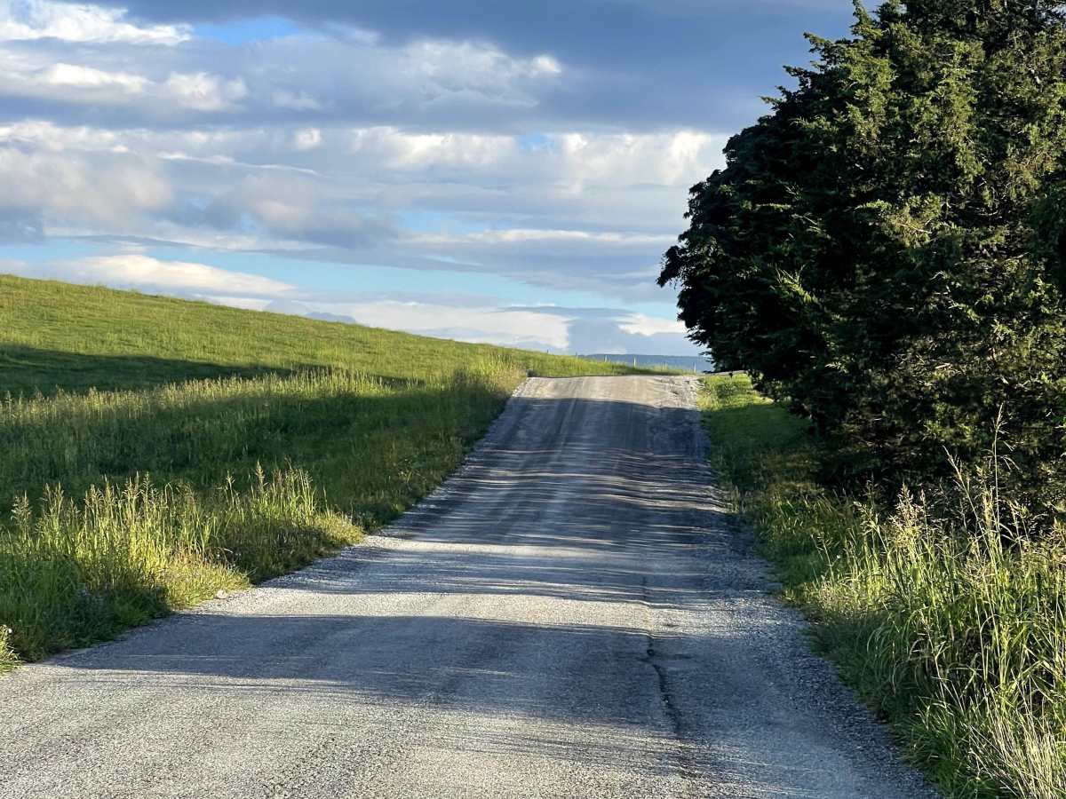 Steven's Road photo 3