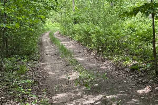 Vinton Trail South