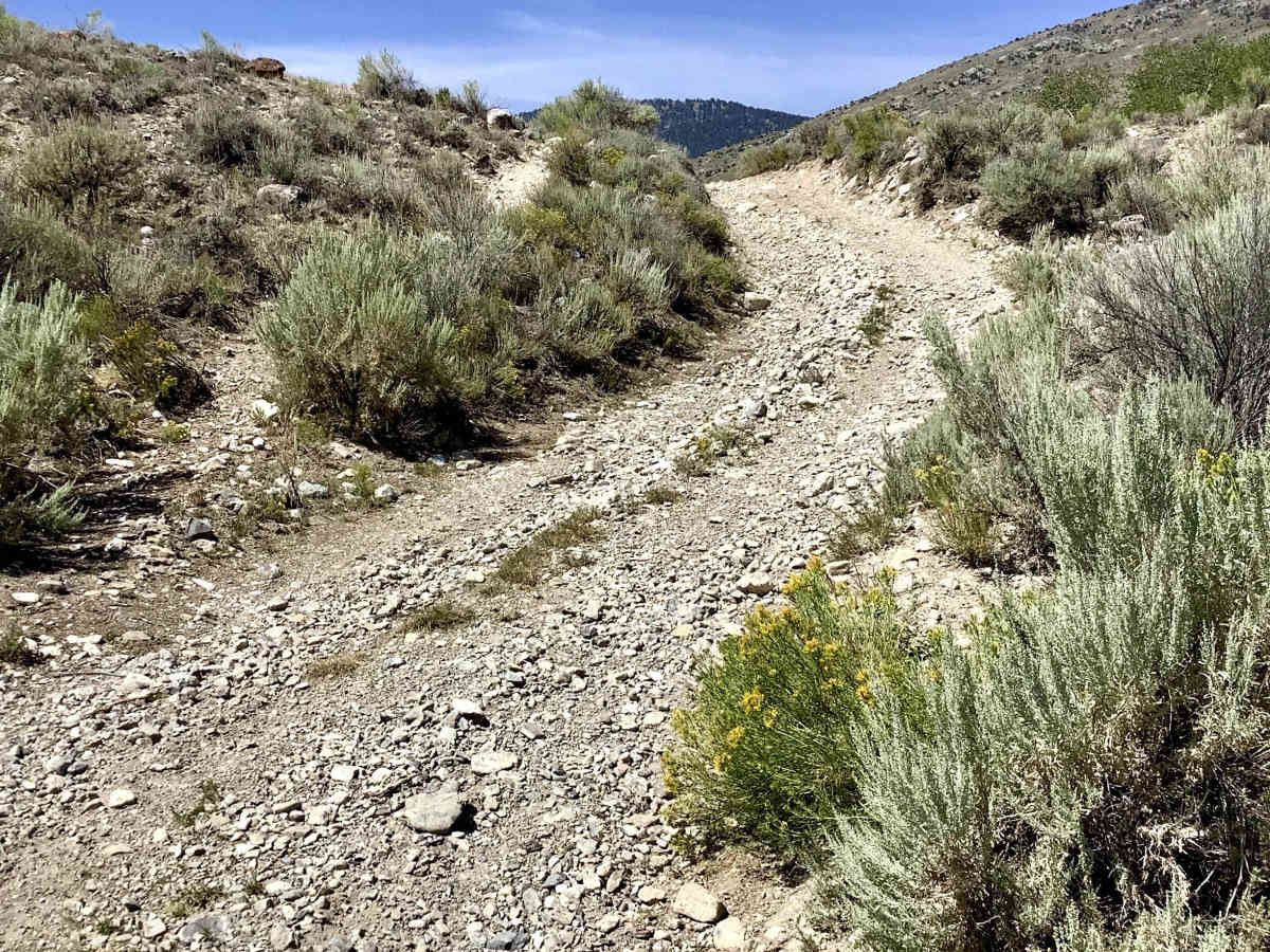 Deer Creek Trail photo 5