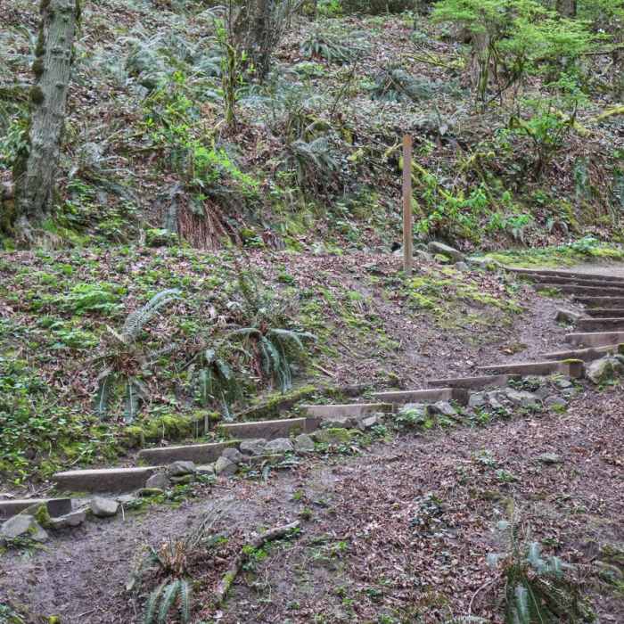 Near George Himes Park Trail