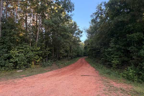 Turkey Trail
