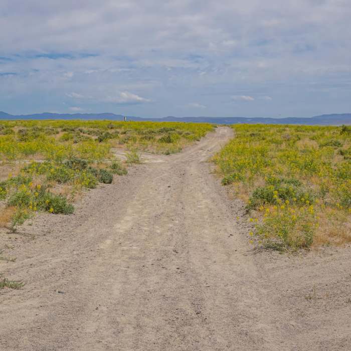 Near Rattlesnake Hill Loop