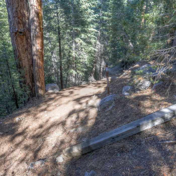 Near Cooper Canyon Falls Out and Back