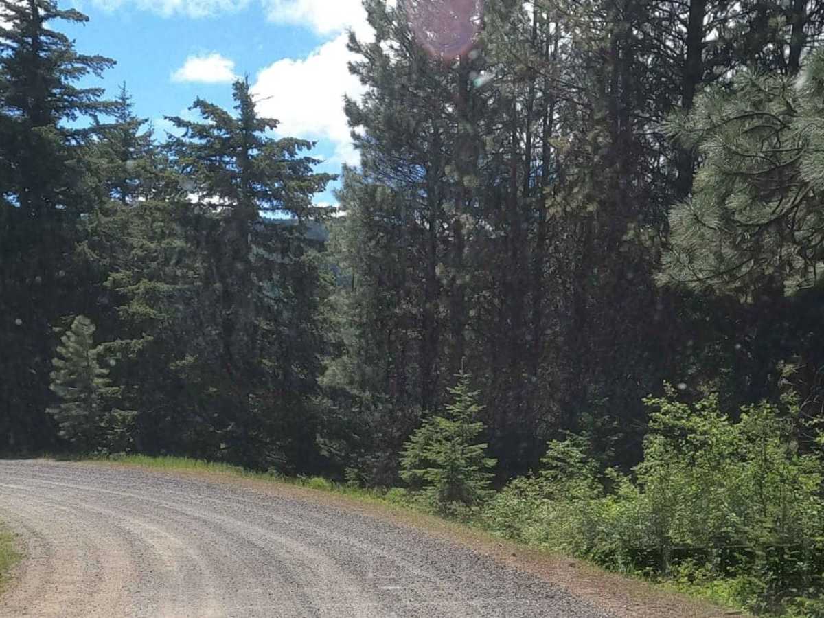 Miners Point -  NF3300-133 trail photo